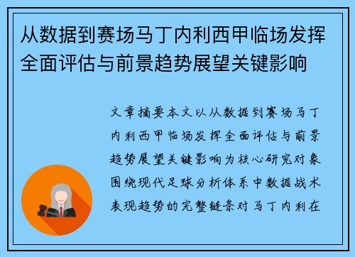 从数据到赛场马丁内利西甲临场发挥全面评估与前景趋势展望关键影响